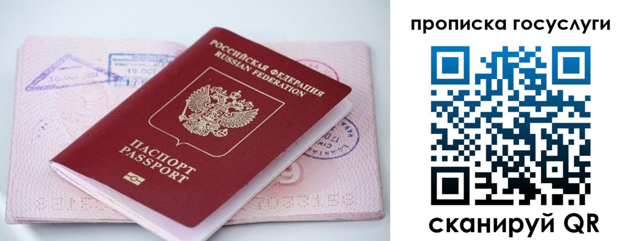 прописка законно в Сухиничи